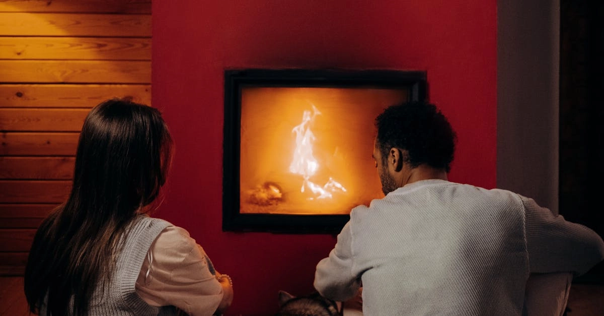 Триумфальные механики слота The Dog House Megaways